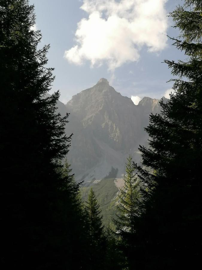 Appart Pfeifer Apartman Neustift im Stubaital Kültér fotó