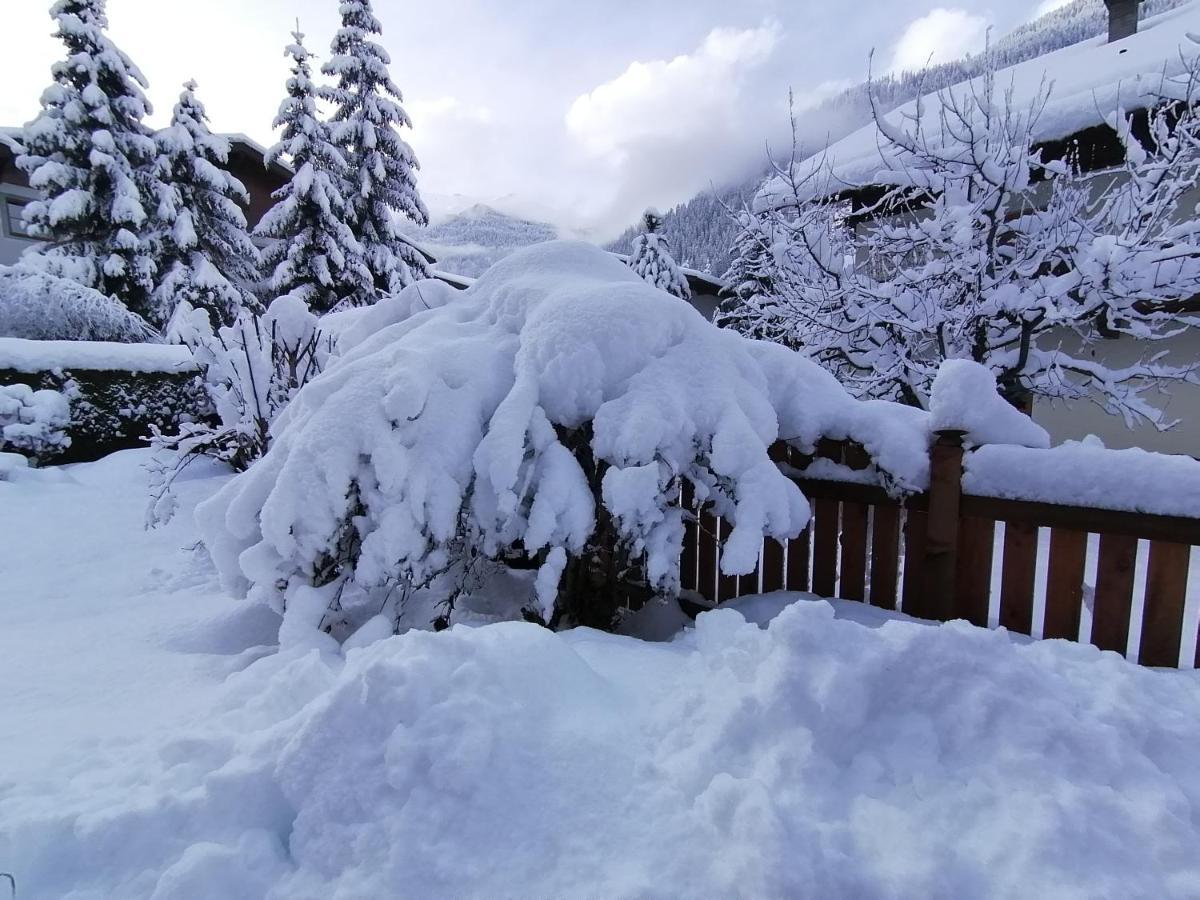 Appart Pfeifer Apartman Neustift im Stubaital Kültér fotó