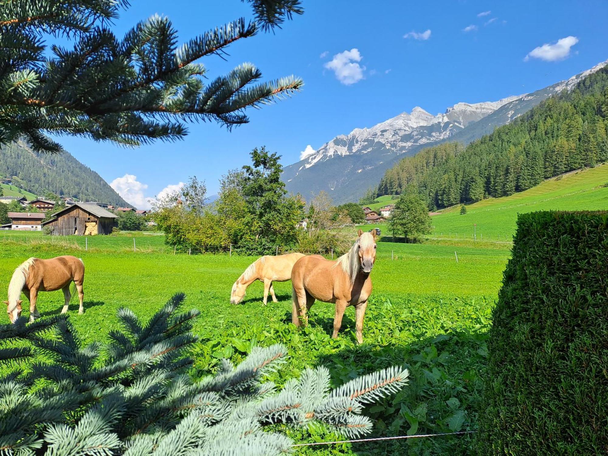 Appart Pfeifer Apartman Neustift im Stubaital Kültér fotó