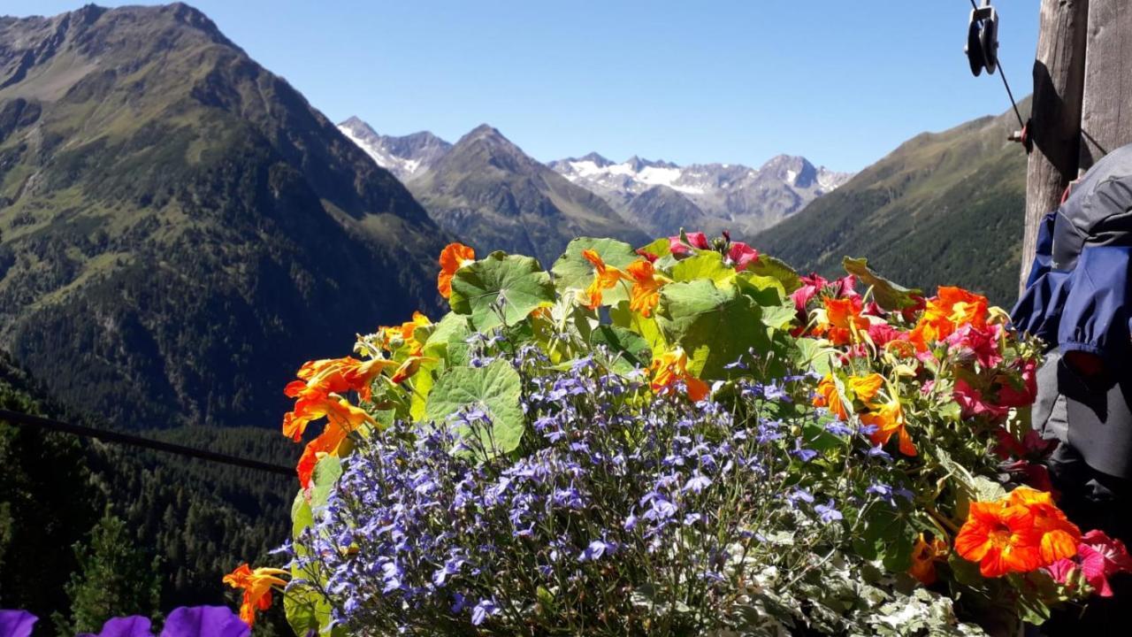 Appart Pfeifer Apartman Neustift im Stubaital Kültér fotó